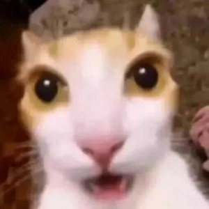 �ҿ���ꖹ�ʳ�ã��l�Fʳ�ñO���ǎ���ǰ���棬ÿ�ղ�ƷҲ��չʾ���B���ׂ��WУ�����@��