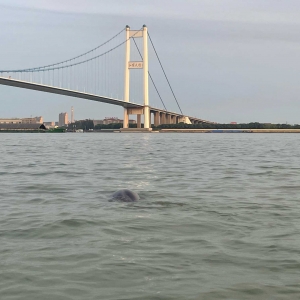 ���τ��������࣬���֙Cӛ����@���F�r�̣�