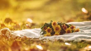 ��خ���ƫ�ߣ����ػ�Ҫ�ȵ�����β