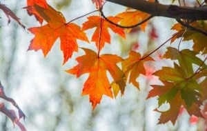 ���أ������ϻ���Ҫ�ˈ���