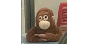 �������Ȧ�ö������˱�������һ����ˌ���̫̝������������ûض����X߀��֪��