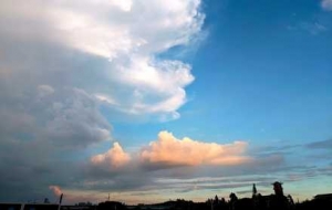 �z�����R�^̽��ɫ��ʢ�磡�M�鲶׽��ǰ������