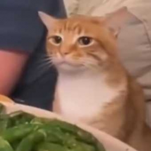 �Ҵ�đ�A�y��һ�����RNB�ڽ�ꎱ���_��������¡�ɾ͉����