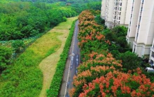 ������⣡��ꎵę����������һ������k�������b