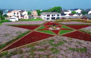 �����L�����д壺���컨��������ˮ�l(xi��ng)���еĜ��ᱩ��