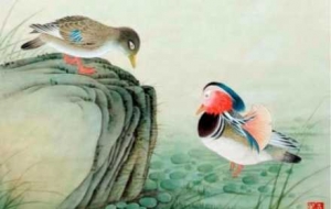 �W(w��ng)�ѷ��������������α�ˮ����Ӱ�@������