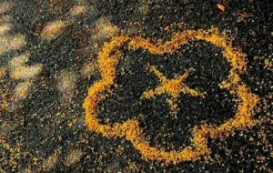 ���Ռ��㣺���c�y�ӽ����xӳ������һƬ���S�ҷ�