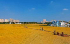 ���պ��ģ������ɫ���ͯԒ�������M�F(xi��n)��