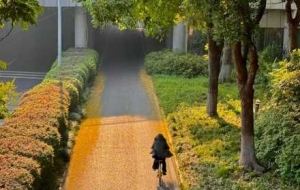 ���������������h�㡢���ӽ������ļt��ů�� ​