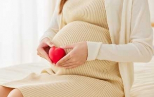 2025�������a�N���I��Ոץ�o��