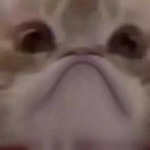 ���f�Q����Ո���a�N2�fԪ��8��25�Ռ���ͨ�^�����F��δ���~