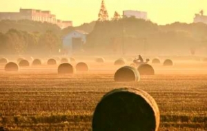 ����ʿ���������������ɽ�����