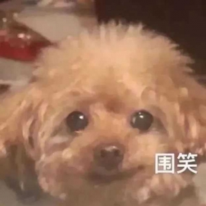 �Ұ�70�k�ƛ]������Ҳ�]���f������HֶŮ�Y�飬�Ҷ������˲���Ҫ��æ�ˣ�