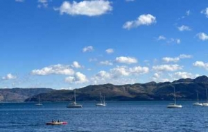 �����L���������h�����ݍu�����ɺ����Ǽ��T�ڵ�����