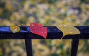 ����......�����δ�_���붬�˜ʣ���