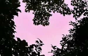 �S��һ�ģ�������ϼ��׽�ߣ���������˲�g