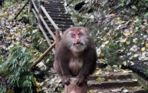 ��üɽͽ�����գ�һ�ε�픣���;�L������ͣ