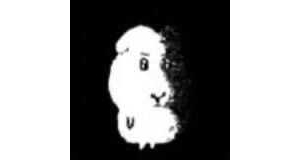 ����֮�����c��죬һ���ʮ�K�mȻ�٣���������Ҳ���⣡�Y��߀��ͬ���²ے�̫��