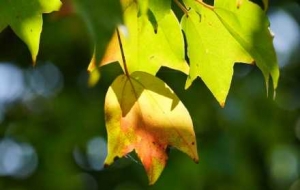 18�棡���ؕr(sh��)�g����