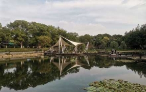 ������ꎣ��c�f������꣡�ؑ��������