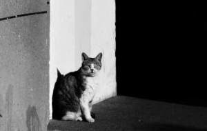 �����ГQ��������l�������R�^���²�һ�ӵ��L��