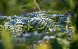 �ƽ�0�棡��՚���Ҫ����