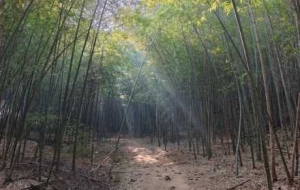 ����������С��ͬ�У��������g���_��Ч��