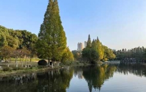 �֙C�S�ģ��������ʣ���Ӱ�ڵ����L���uҷ�Į���