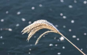 ��ꎰl�������{ɫ�A����̖