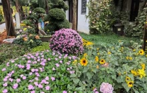 �ĕ��@�p�գ��\�C�M�أ��f�����G��������