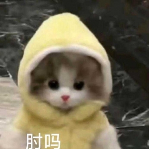 ���������c�������ܲ����������ֲ����ܣ���Щ�����ܲ����˶���ô�Գֵģ�