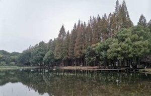 �֙C�R�^��Ľ�����һ�N�������Ī��ؚ��|