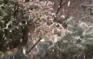 �W�ѕ��n����ѩ�����x����Ȼ�����@������������