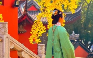 �������������¼t��ײ�y�ӣ��~�~ͨ͸�����