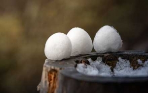 ����+��������՚��ց�����