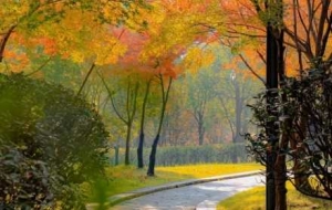 �z�ђ߽֣���Ӱ���ӵ�ůɫ���_�����R�^�����@һ��