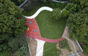 ���@���ֵ����������