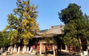 ���L�����^�����������⣡������һƬ��ů������