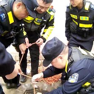 ����12�r�S������@�l���@�UһĻ��