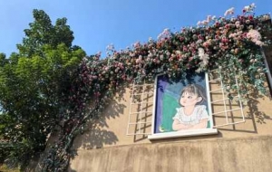 �Ϸ�Ȫ�Ͻֵğ���⣡�ջ��ΑB����Ŀ��Ͼ��