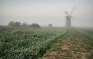 ����Ⱦ����Sɫ�A��