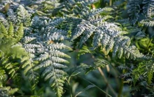 �����{ɫ�A������һ݆��՚����