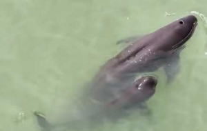 ���B�ĵ�����ꎴ�򸽽�......