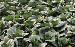 �����ⶼ���Q�����������������