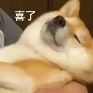 50�q�ҹ��������µĆ�λֻ�ܴ���һ����Ѯ��Ͷ�˷ݺ��v���\�ܿ��c����