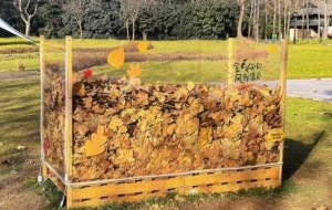 �����~�ӡ����L�����ռ�һ�ݪ�һ�o�����L��