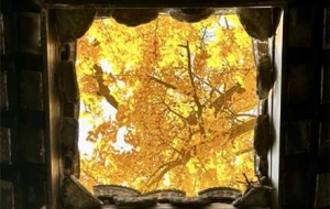 ���S�z�ѵ��R�^���y�ӣ�һ��һ��������ʽ���W