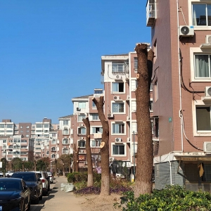 �o���²ۣ�С�^��úõĘ䣬��ʲô�ǵü��ù�d�d��