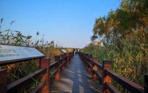 �W(w��ng)���S�ģ��������п�ܣ����x�ҵ����W(xu��)