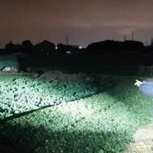 ���ˈ󾯣������ڲˈ�������ץ